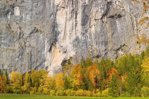 Gößler Wand in autumn. It is a rockwall of 180 m height between the lakes Toplitzsee and Grundlsee.