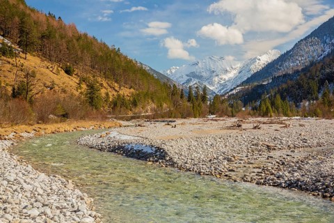 Isar valley nature conservancy area. The wild Isar river flows through its gravel bed
