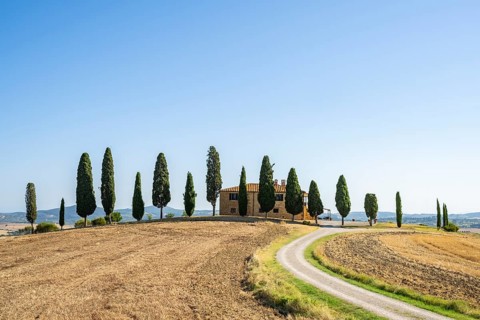Tuscany landscape with cypresses and farmstead, dawn, 'Podere Cipressini', San Quirico d'Orcia, Val