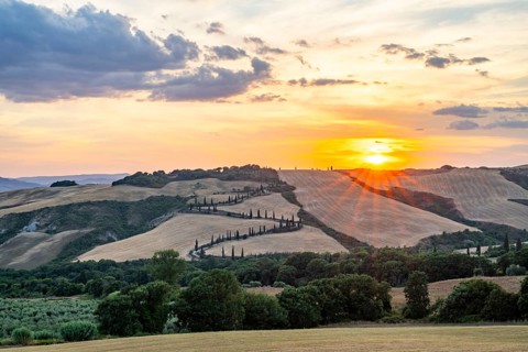 Typical Tuscan landscape in Val d'Orcia with hills, trees, fields, cypresses and farm road in