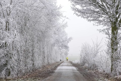 Snow-covered path with icy trees and a person in a yellow coat walking in the distance,