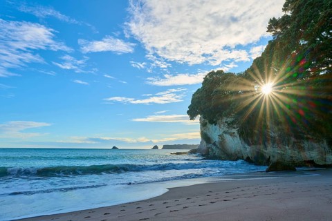 Sandy beach beach with waves and rocks, sun breaking through behind trees in the coastline,