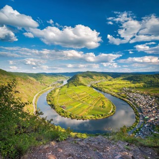 View of the Moselle bend at Bremmer Calmont, Bremm, Moselle valley, Rhineland-Palatinate, Germany,
