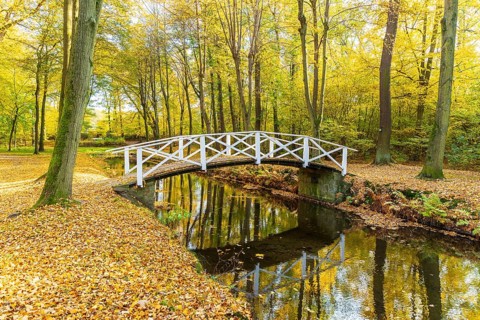 Bridge over the castle moat in autumn, park of Hermsdorf Castle, Ottendorf-Ockrilla, Saxony,