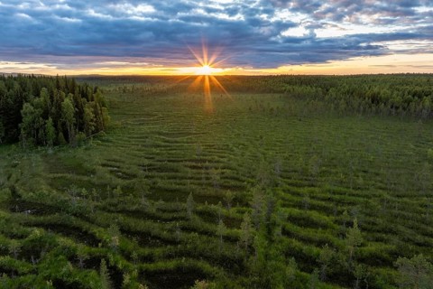 Wetland in Lapland, midnight sun, swamp, Muonio, Finland, Europe