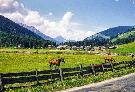 Horses in the pasture, village in the valley, Leinz district, East Tyrol, Austria, Europe 1950s,