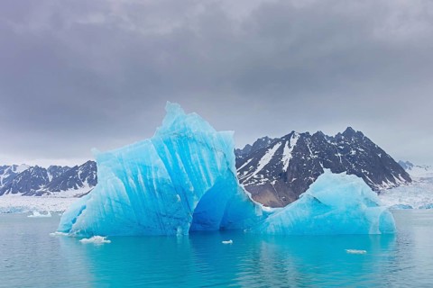 Iceberg, ice floe from calving Monacobreen glacier floating in the Liefdefjorden, fjord in Haakon