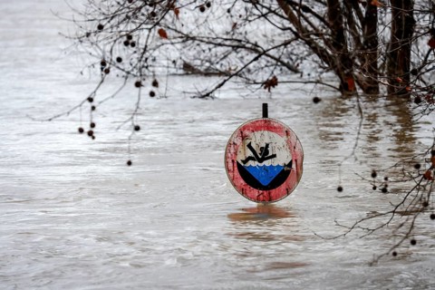 Duisburg, North Rhine-Westphalia, Germany - High water on the Rhine, trees are under water on the
