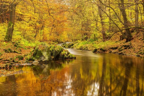 Autumn by the Schwarza river in the Schwarzatal nature reserve between Bad Blankenburg and