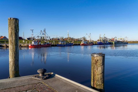 The fishing village of Greetsiel, historic fishing harbour, with the largest shrimp cutter fleet in