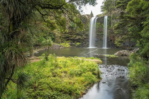 Waterfall of Whangarei Falls flowing into a tranquil river, surrounded by lush greenery and rocks,