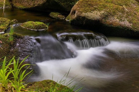 Kleine Ohe creek below Waldhaeuser village in the Bavarian Forest Nationalpark. Flowing water,
