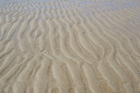 Beach at low tide with wave-like structure, current ripples in wet sand, North Sea, Norderney, East