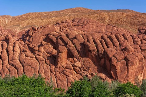 The impressive cliffs in the Dades Gorge. A tree stands in the centre of a field with a rocky hill