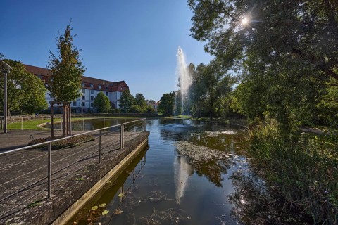 Park, pond, fountain, trees, general architecture, backlight of the sun, light-flooded foliage,