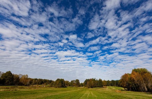 Lean meadow, Altocumulus, cloudy sky with fleecy clouds in the Blockheide nature park Park near