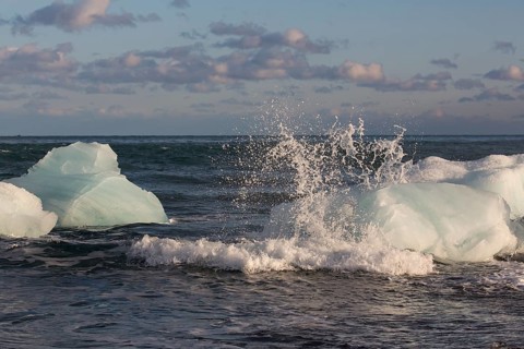 Little icebergs and crushed ice on the black beach at Joekulsarlon glacial lake