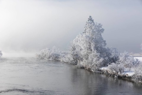 Lake Kochelsee in Bavaria, Germany. River Loisach leaving the lake. Winter, hoar frosted trees