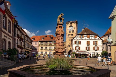 Market fountain in front of the town hall and the butcher's tower in Ribeauville, Alsace, France,
