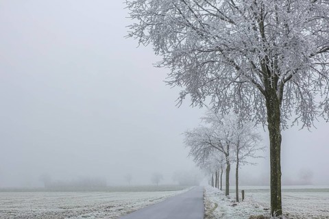 Winter day with fog and hoarfrost, elevation Schöppinger Berg, Schöppingen, Münsterland, North