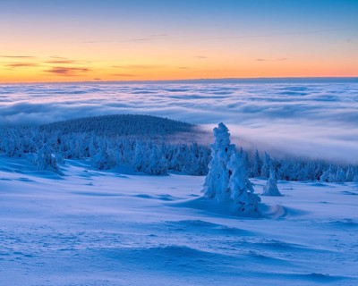 Morning atmosphere on the Brocken, view over snow-covered winter landscape with snow-covered spruce
