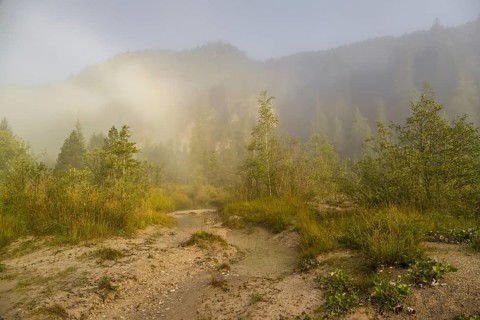Isar valley nature conservancy area. The wild Isar river flows through its gravel bed past