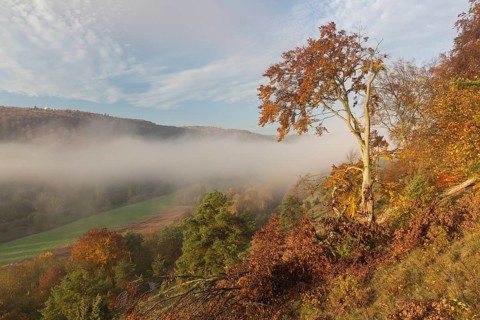 Sunrise close to the 12 Apostels rock formation in the Altmühl valley nature park close to