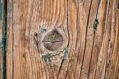 Detail of weathered wood from an old window shutter, Burano, Venice Italy