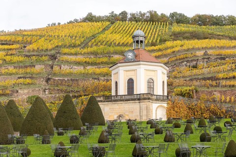 Belvedere of Wackerbarth Castle with Jacobstein and autumn-coloured vineyards, Radebeul, Saxony,