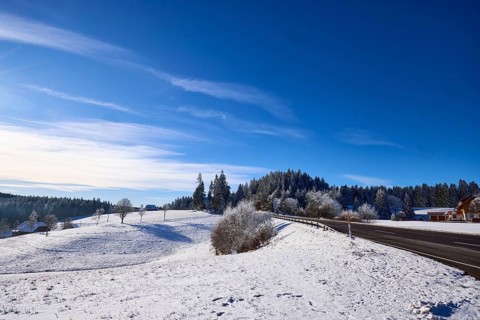 Winter landscape, forest, snow, country road, deep blue sky with veil clouds, Titisee-Neustadt,