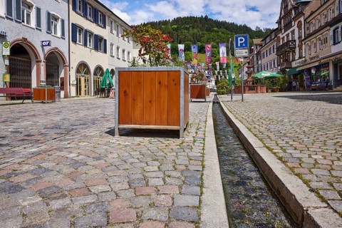 Historic buildings, old town, cobblestones, flower pots, hilly landscape, coniferous forest, town