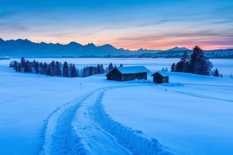 Sunset in the Allgäu in winter, view at sunset over the Forggensee with fog, tractor track in deep