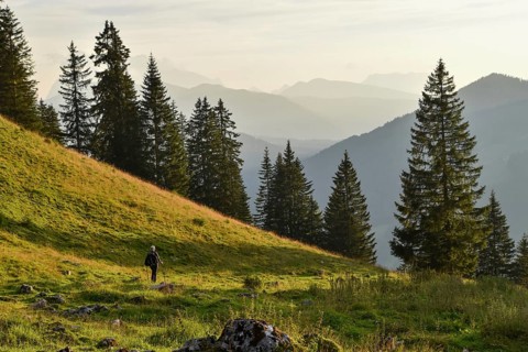 Mountaineer descending from the Sonntagshorn on the Hochalm, view of the Chiemgau Alps, Salzburger