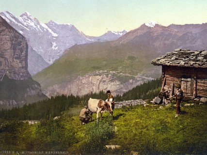 Wengern Alp, Käserei, Kuhhirte milkt Kuh, Bernese Oberland, Switzerland, Historic, digitally
