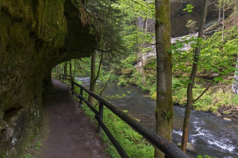 Hiking path in the Wild Gorge, river Kamnitz, Hrensko, Ustecky kraj, Czech Republic, Europe