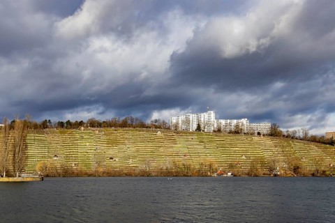 Max-Eyth-See in winter with dark clouds, vineyards and housing estate in the Freiberg district.