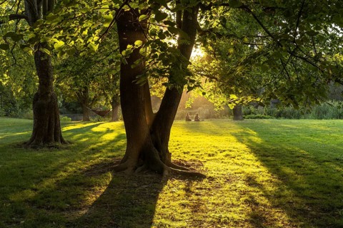 Clara Zetkin Park in Leipzig, Saxony, Germany, Europe