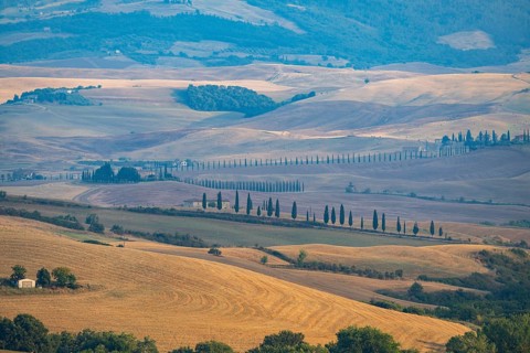 Typical Tuscan landscape in Val d'Orcia with hills, trees, fields, farmhouses and cypresses in