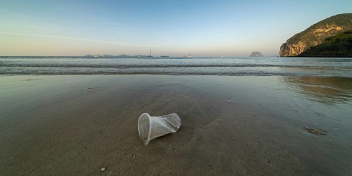 Plastic waste on the beach, Charlie Beach, Koh Mook Island, Andaman Sea, Satun Province, Southern