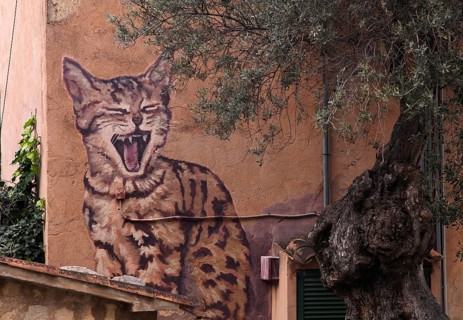 Graffiti cat, house wall, artist village Deià, Tramuntana mountains, Serra de Tramuntana, Majorca,