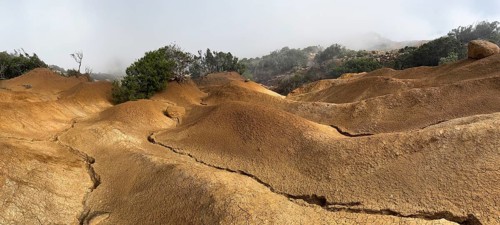 Yellow soil and rocks, erosion, near Arguamul, La Gomera, Canary Islands, Spain, Europe