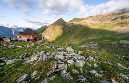 Mountain hut Lasörlinghütte in the evening light, mountain landscape with alpine roses,