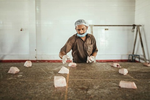 Cutting up a slaughtered dromedary (camelus dromedarius), camel slaughter, Salalah slaughterhouse,