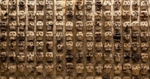 Wall of stone human skulls, archaeological site and museum of Templo Mayor, Mexico City, Mexico,