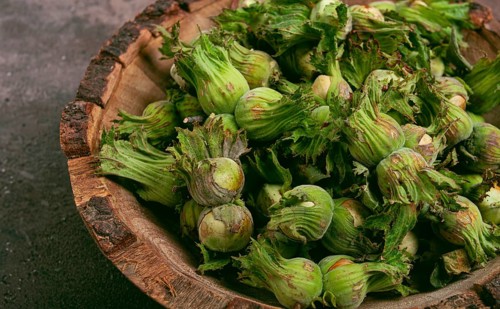 Fresh, green hazelnuts, close-up, in a wooden bowl, unpeeled, top view, no people