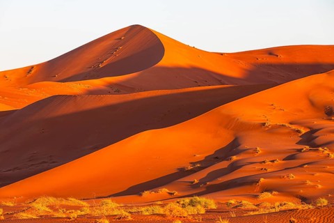 Wind-sculpted curved sand dunes in the evening light, in the Rub al Khali desert, Dhofar province,