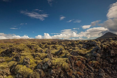 Lavafield Ögmundarhraun near Grindavik, located on Reykjanes headland on the southwestern tip of