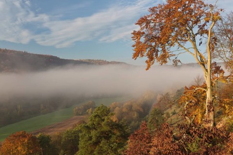 Sunrise close to the 12 Apostels rock formation in the Altmühl valley nature park close to