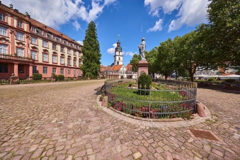 Monument to Count Franz, church tower of the Erbach town church, Erbach Castle, trees,