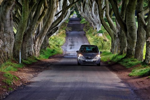 Car drives through famous avenue of beech trees, The Dark Hedges, tunnel avenue, mystical film set,
